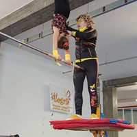 Consuelo Caroli